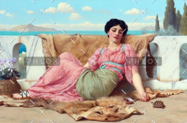 demo-attachment-201-the-quiet-pet-1443344_1920