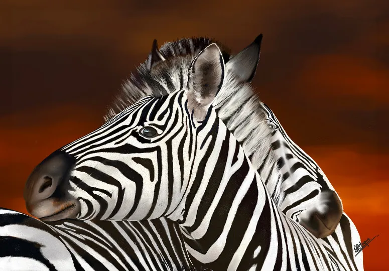 Loving Zebras - Animal & Pet Art