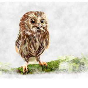 Young Tawny Owl