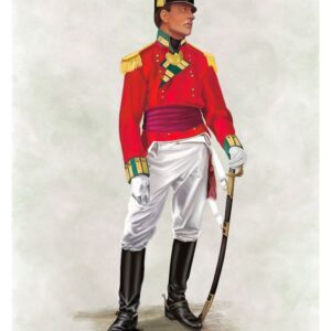 24th Regiment of Foot (2nd Warwickshire) Officer, c.1812–1815