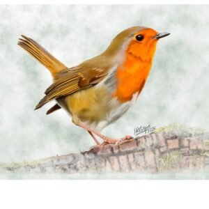 Robin on Log – Guardian of the Garden