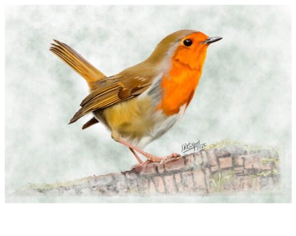 Robin on Log – Guardian of the Garden